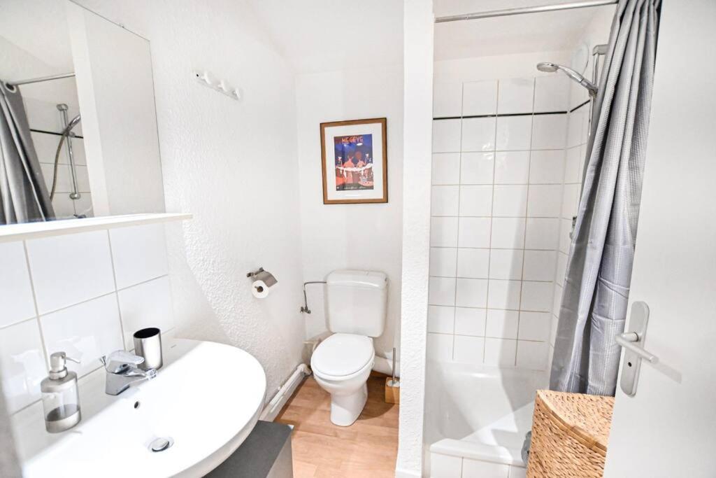 Ferienwohnung Le Balcon Des Neiges Praz-sur-Arly Exterior foto